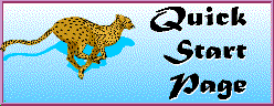 Cool Cheetah